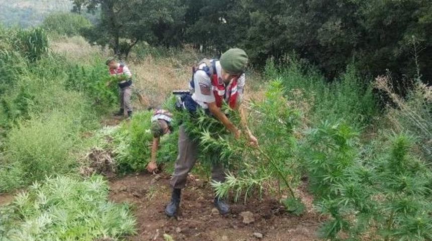 Jandarma Kenevirleri B&ouml;yle S&ouml;kt&uuml;