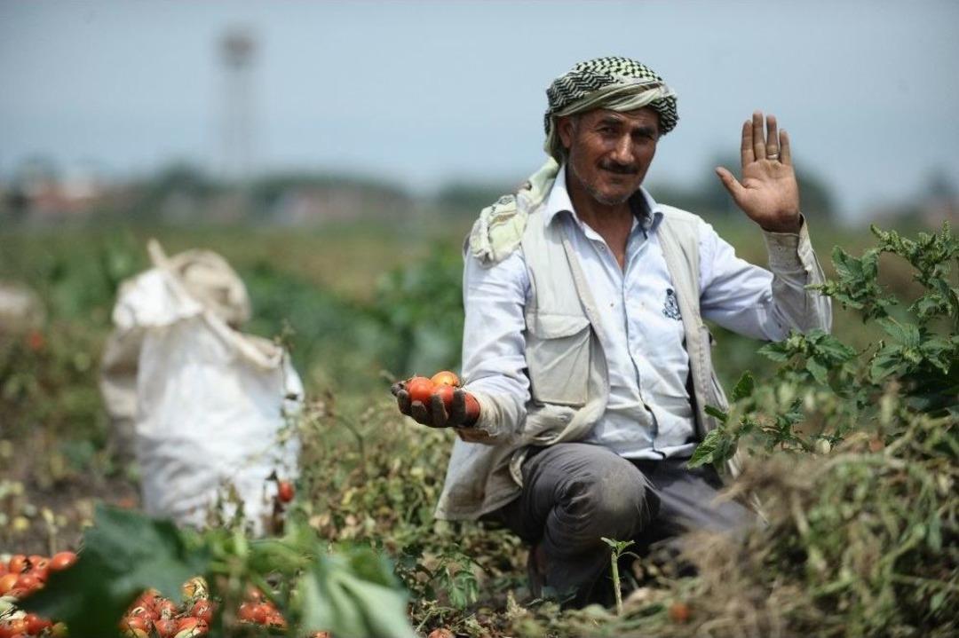 (&ouml;zel Haber) Dolu Mevsimlik İş&ccedil;ilerini De Vurdu