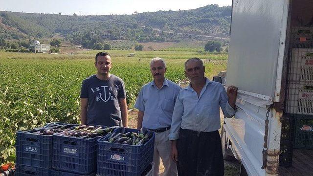 Sebze Üretimini Geliştirme Projesi’nde 24 Çiftçiye Destek Verildi