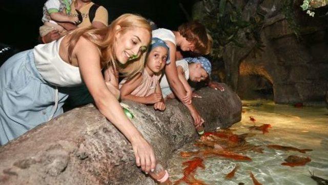 'koi' Balıkları Biberonla Besleniyor