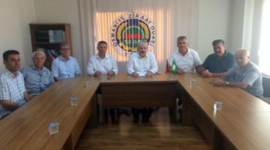 Yağmur Ve Dolu Mısırı Etkiledi