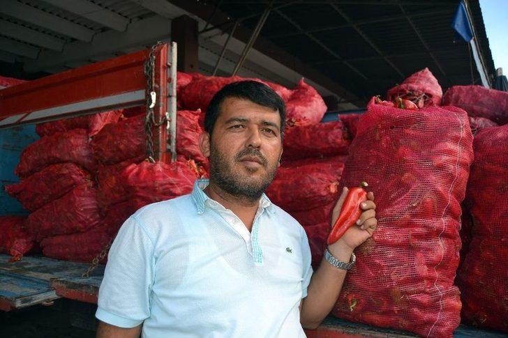 Adana’da Sezonun İlk Salçalık Biber Satışlarına Başlandı G5