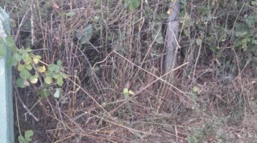 Arsa Meselesi Yüzünden Çıkan Kavgada Kan Aktı: 1 Ölü