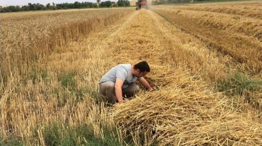 İnönü’de Hasat Ve Kontrol Zamanı