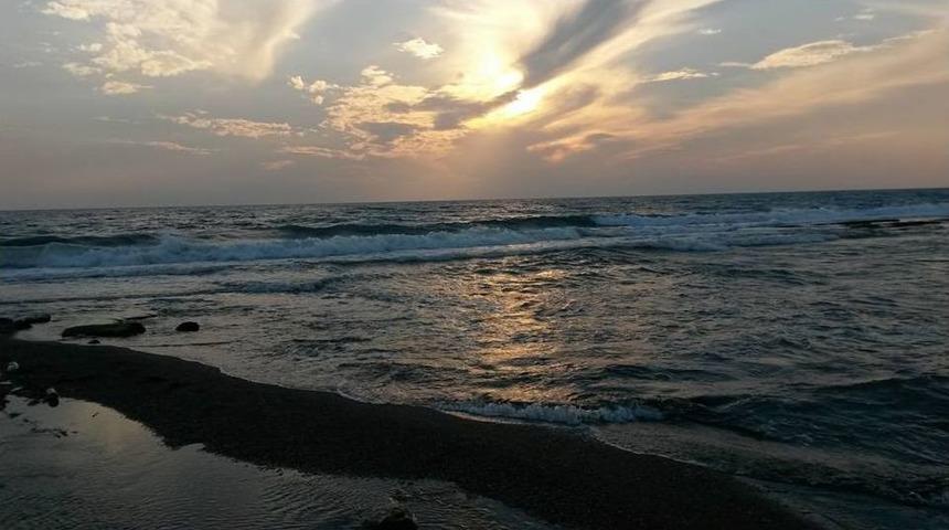 Balık Avlamak İ&ccedil;in Daldı, Vurgun Yedi