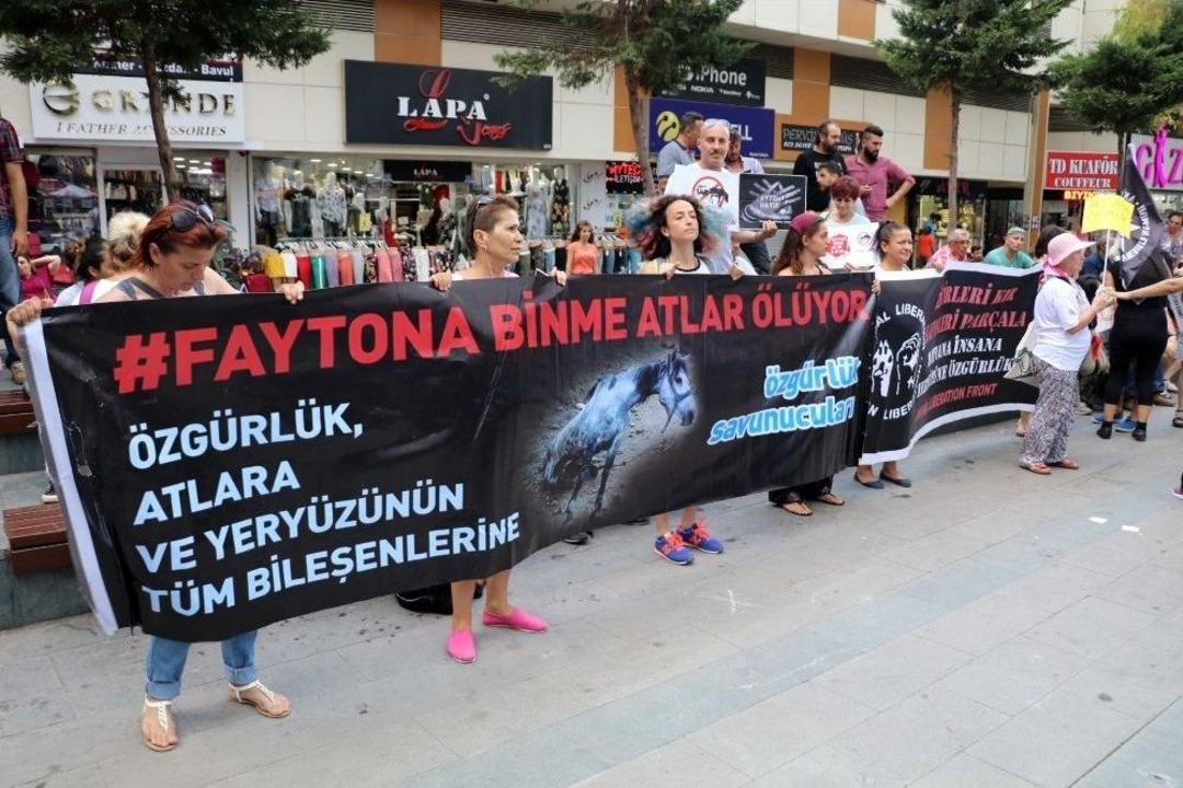 Antalya&rsquo;da Faytona Koşulan Atın &Ouml;l&uuml;m&uuml;ne Tepki Eylemi