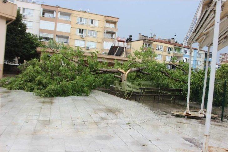 Aydın’da Yaz Yağmuru Hayatı Felç Etti G5