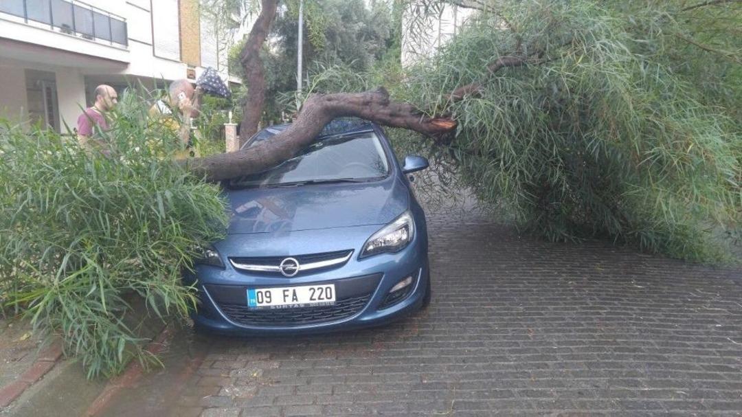 Yağmur Ve Fırtına Sonrası Aydın Manzaraları