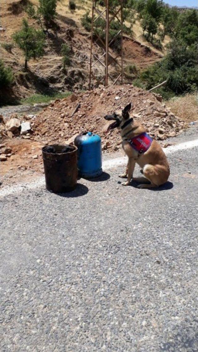 Bitlis’te 100 Kilo Eyp Ele Geçirildi