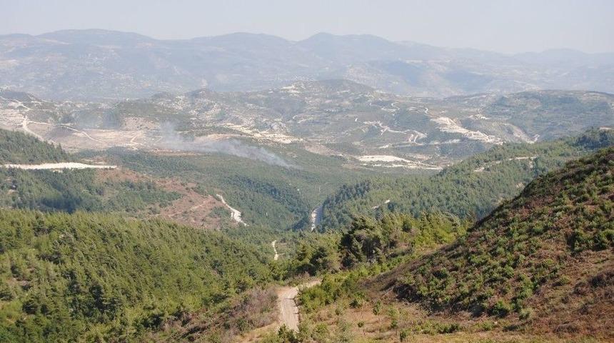 Suriye Sınırında Orman Yangını