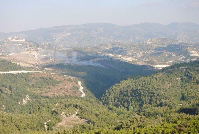 Suriye Sınırında Orman Yangını 1