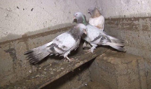 Başkent’te Sel Felaketi 2