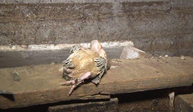 Başkent’te Sel Felaketi 3