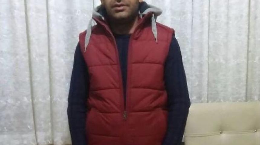 Gemlik&rsquo;Te Dehşet Sa&ccedil;an Alkoll&uuml; Tır S&uuml;r&uuml;c&uuml;s&uuml; Serbest Kaldı