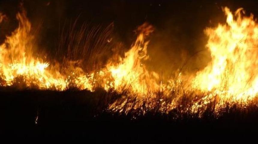 Balıkesir'de 30 Dekarlık Alan K&uuml;le D&ouml;nd&uuml;