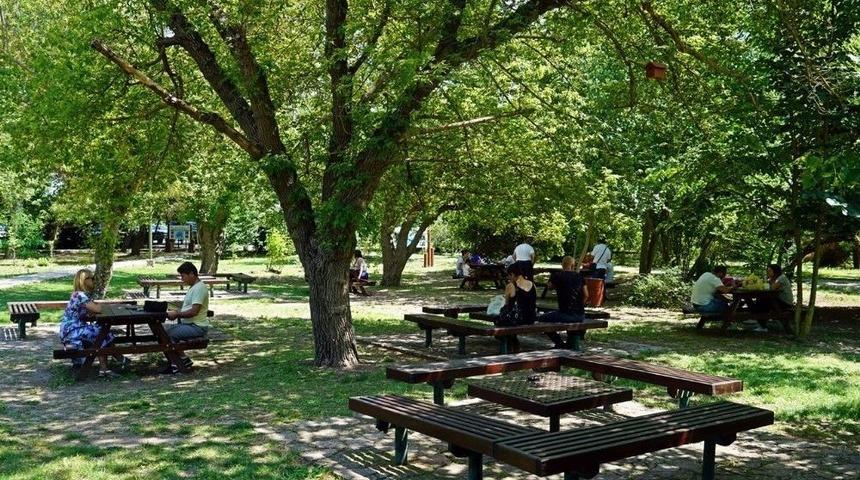 Korunan Alanlarda 150 Bin Adet Meyve Fidanı Toprakla Buluştu