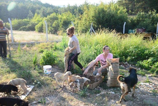 İzmirli Şarkıcı Eylül Metin’den Petshop Tepkisi: “sizde Hiç Vicdan Yok Mu”