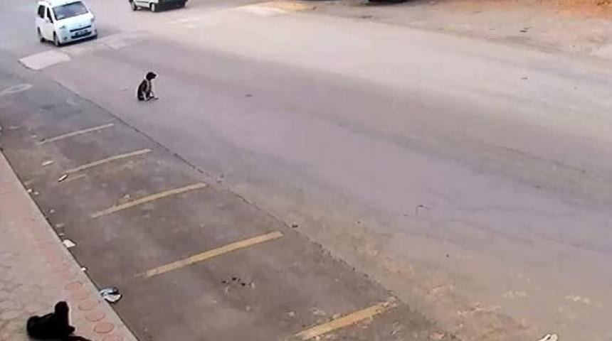 Bilerek K&ouml;peği Ezip Ka&ccedil;tı