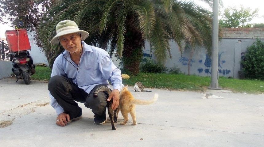 Her G&uuml;n Fatih&rsquo;ten Kasımpaşa&rsquo;ya Y&uuml;r&uuml;yerek Sokak Kedilerini Besliyor