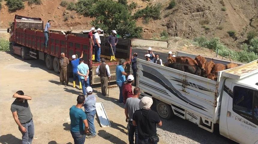 Beyt&uuml;şşebap&rsquo;ta 25 Gen&ccedil; &Ccedil;ift&ccedil;inin Projesi Kabul Edildi