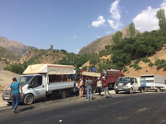 Beytüşşebap’ta 25 Genç Çiftçinin Projesi Kabul Edildi