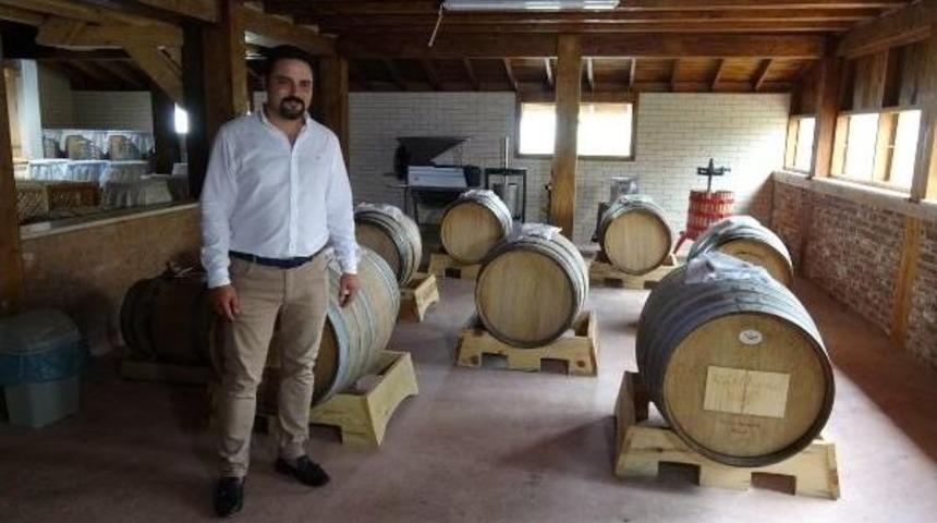 G&ouml;me&ccedil;'te Sirke Şenliği