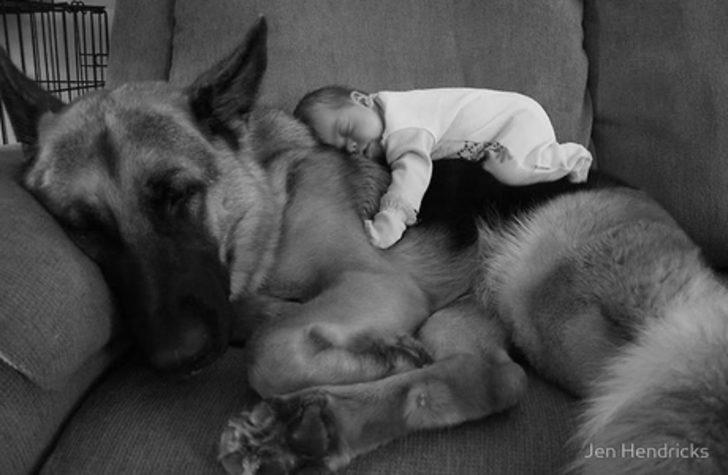 22 K&uuml;&ccedil;&uuml;k &Ccedil;ocuk ve B&uuml;y&uuml;k K&ouml;pekleri