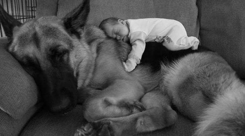 22 K&uuml;&ccedil;&uuml;k &Ccedil;ocuk ve B&uuml;y&uuml;k K&ouml;pekleri