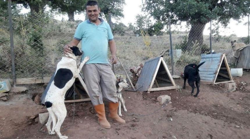 T&uuml;rkiye&rsquo;ye &Ouml;rnek Uygulama: G&ouml;n&uuml;ll&uuml; Hayvan Dostları Projesi