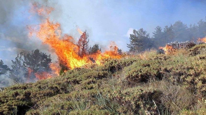 Erzurum&rsquo;da Orman Yangını