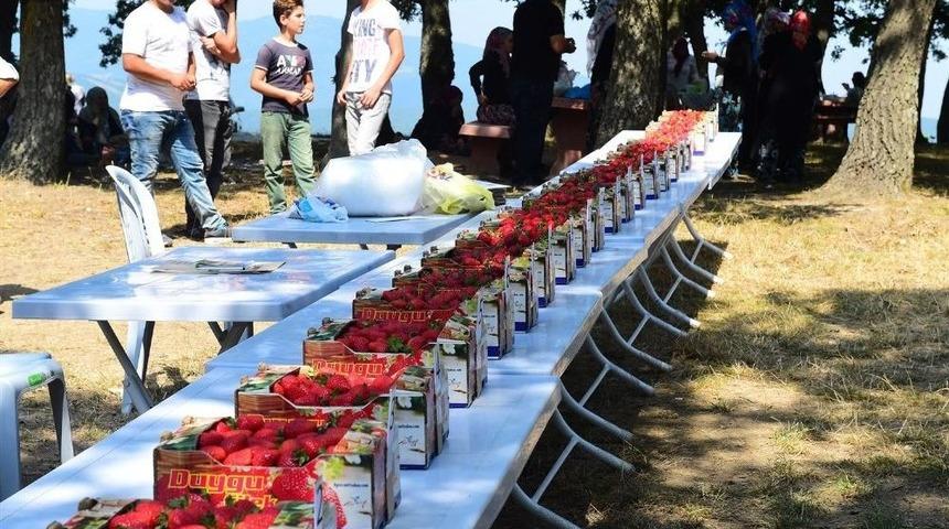 Orhangazi&rsquo;de &Ccedil;ilek Festivali Coşkusu
