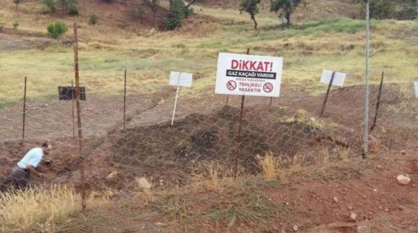 Gaz Sızıntısı Hayvanları Telef Etti