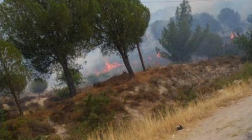 İzmir&rsquo;de Piknik Alanı Yakınında Yangın