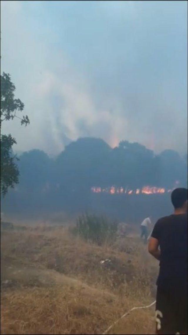 İzmir’de Piknik Alanı Yakınında Yangın