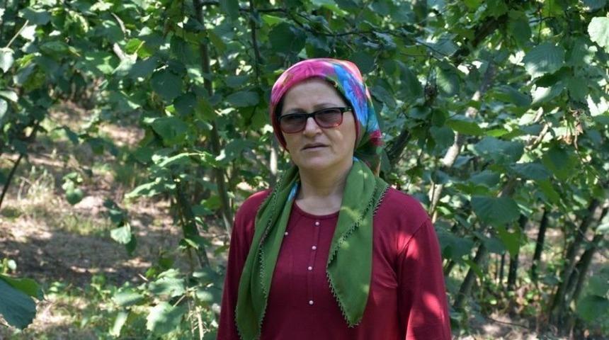 Sakarya&rsquo;da Mahalleye İnen Ayı Korkuttu