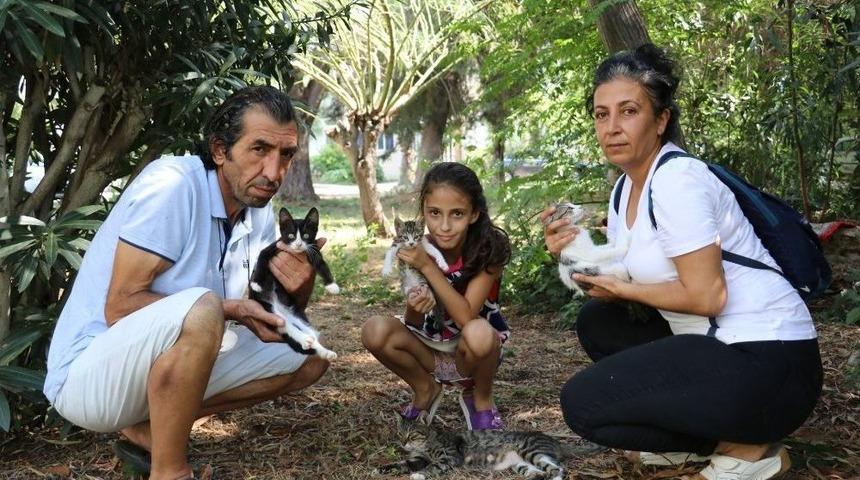 Antalya&rsquo;da Kedi Katliamı