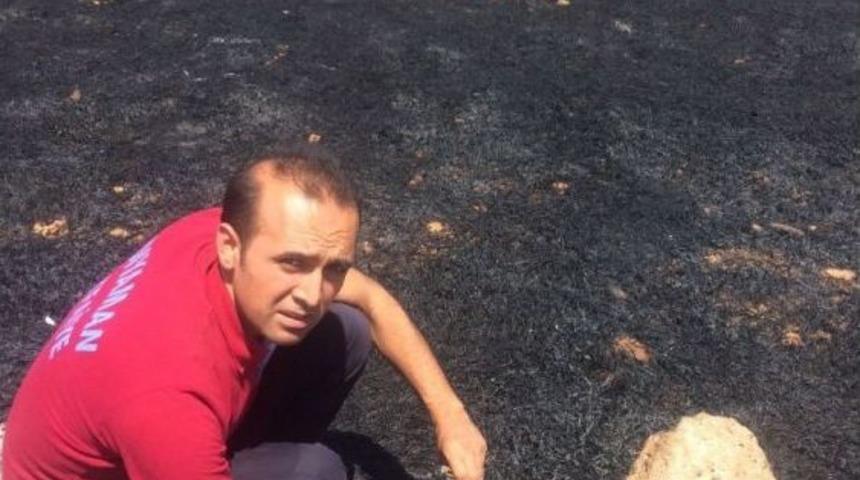 Anız Yangınında Bir&ccedil;ok Hayvan Telef Oldu