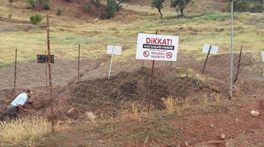 Alaşehir&rsquo;de Gaz Sızıntısı Hayvanları Telef Etti İddiası