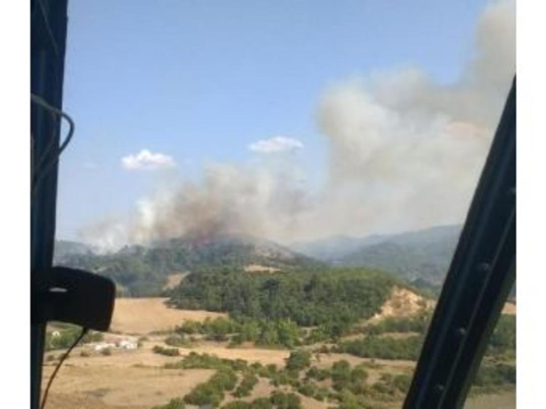 Çanakkale'de Orman Yangını