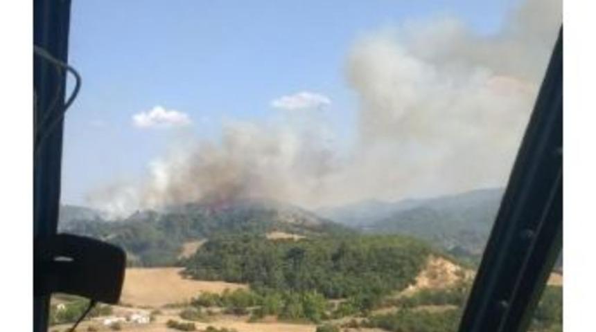 &Ccedil;anakkale'de Orman Yangını