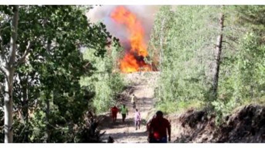 Oltu&rsquo;da Orman Yangını