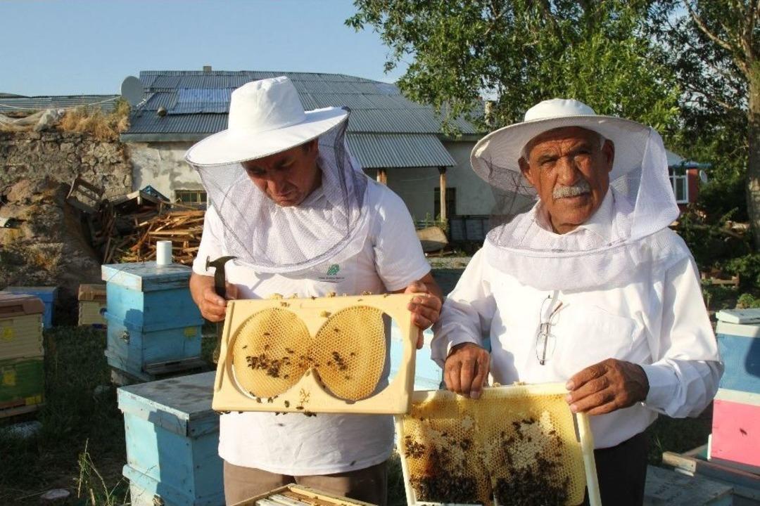 Coğrafi İşaret Alan Ardahan Balı, D&uuml;nya Pazarına Sunulacak
