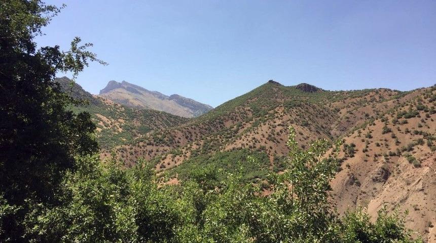 Beyt&uuml;şşebap&rsquo;ta Operasyonlar Hız Kesmeden Devam Ediyor