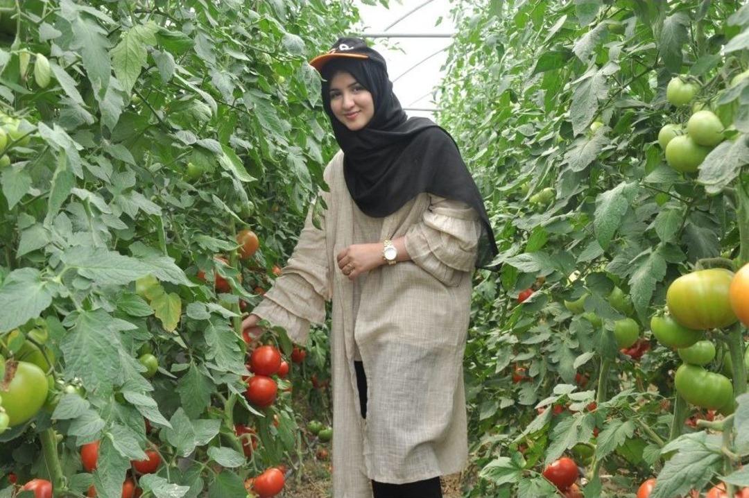 Arap Gen&ccedil;ler Bursa&rsquo;da Domates Ve Armut Topladı