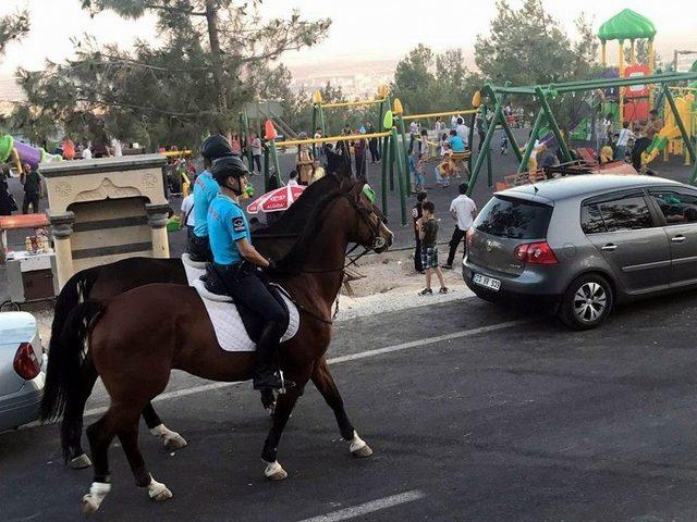 Mesire Alanında Atlı Jandarma Timi Güvenliği Sağlayacak