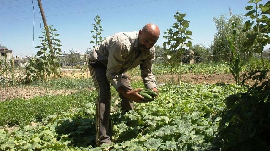 İhbar Ettiği Uyuşturucu Bağımlısı Oğluna Verilen Cezayla Şok Oldu