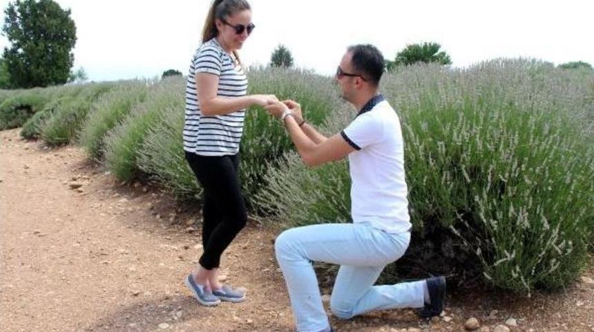 Lavanta Bah&ccedil;esinde Evlilik Teklifi