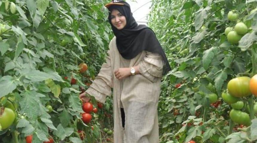 Ummanlı Turist Kafilesi Domates Ve Armut Hasadına Katıldı