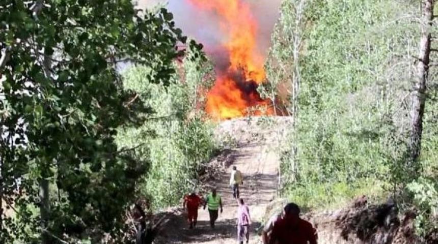 Oltu'da Orman Yangınını S&ouml;nd&uuml;rmek I&ccedil;in Halktan Yardım Istendi