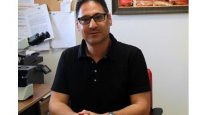 Sağlıklı Herkes K&ouml;k H&uuml;cre Bağış&ccedil;ısı Olabilir